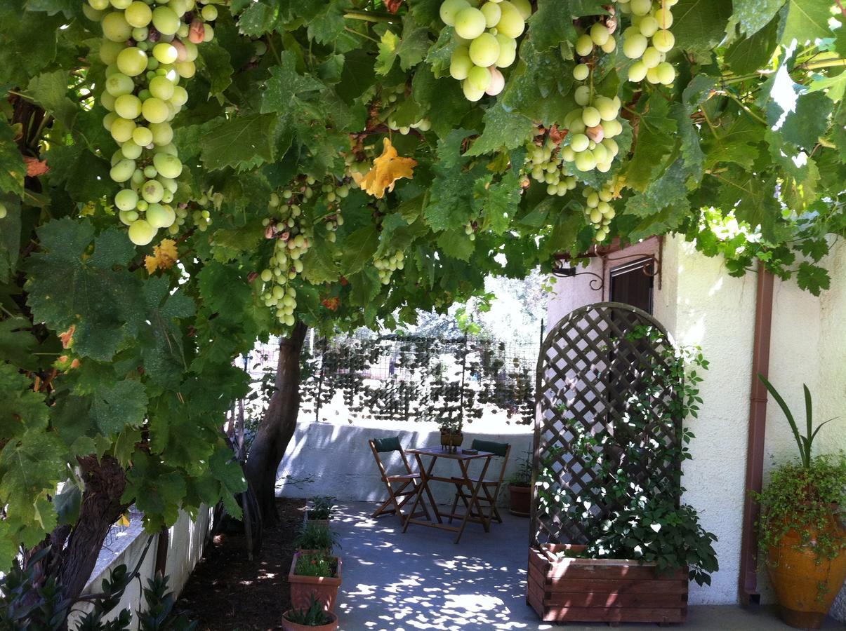 B&B Villa Lucia Mesagne Eksteriør billede